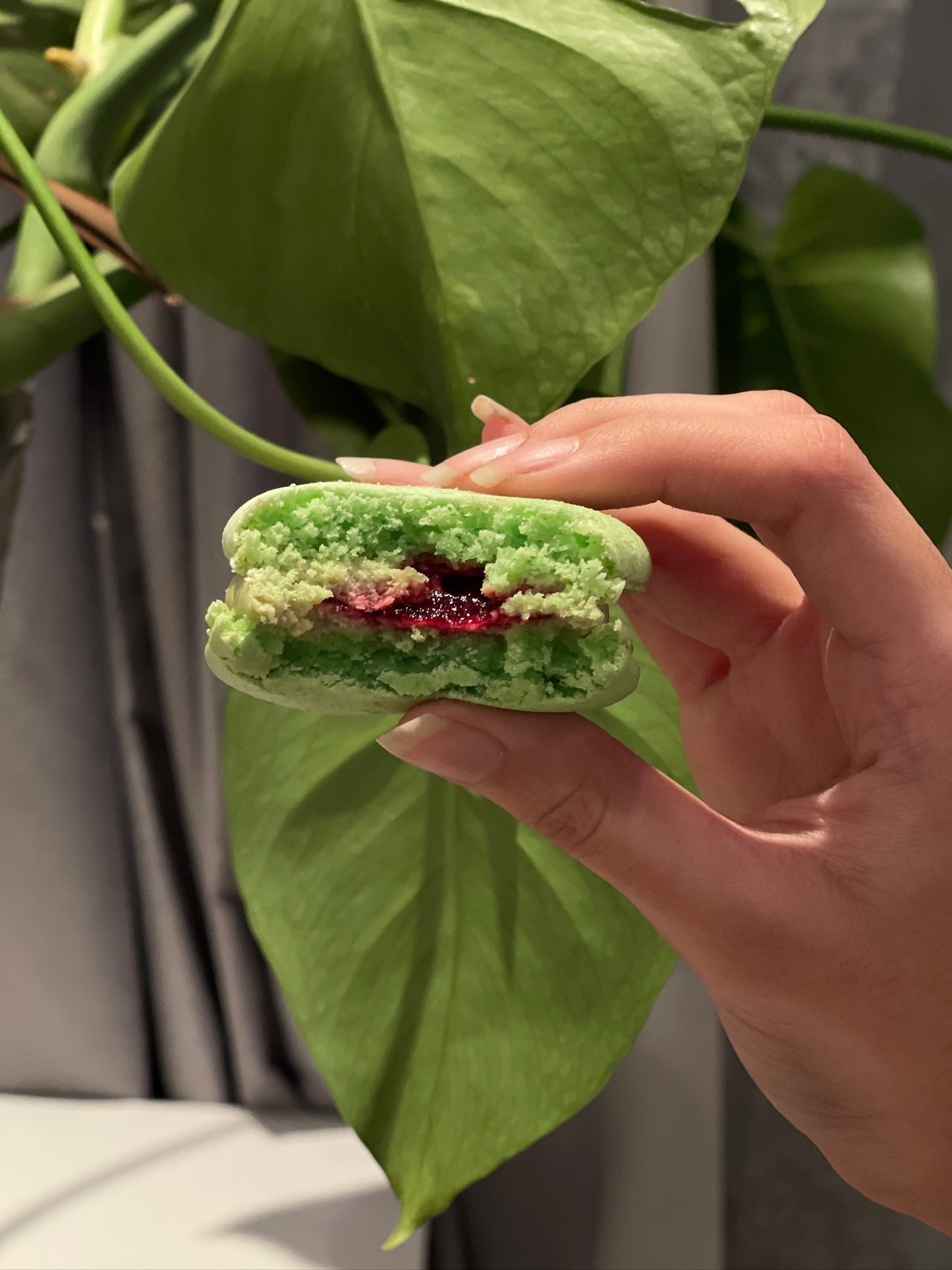 Macarons- Custom Quantity